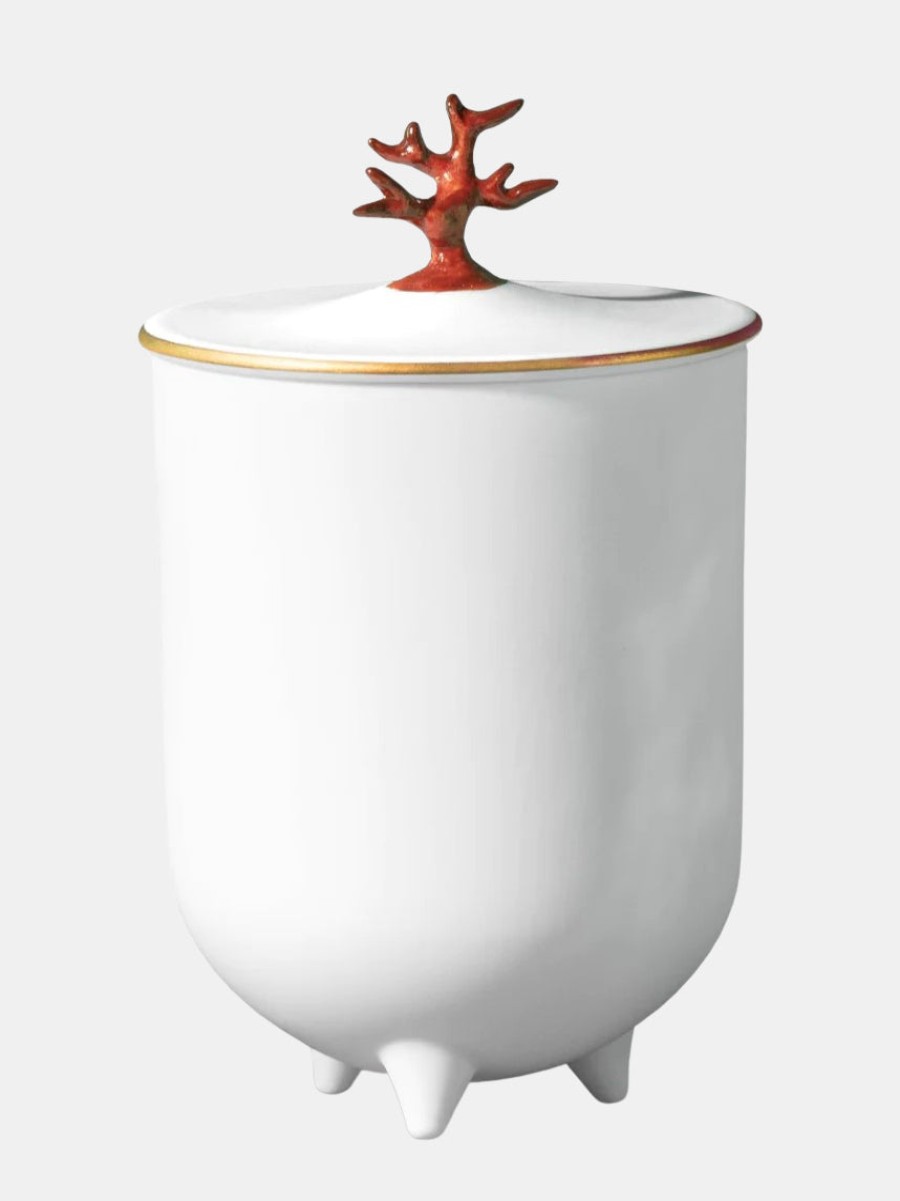 Accessories LE'OBJET | Coral Footed Candle